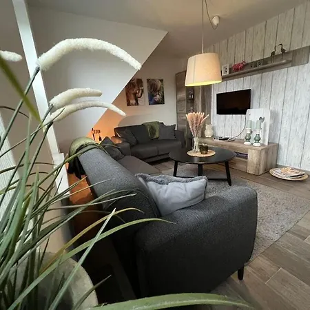 Ponywiese Ihlow (Aurich)