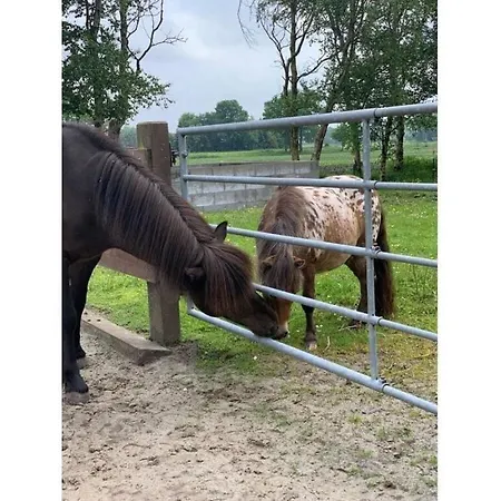 Ponywiese アパート *